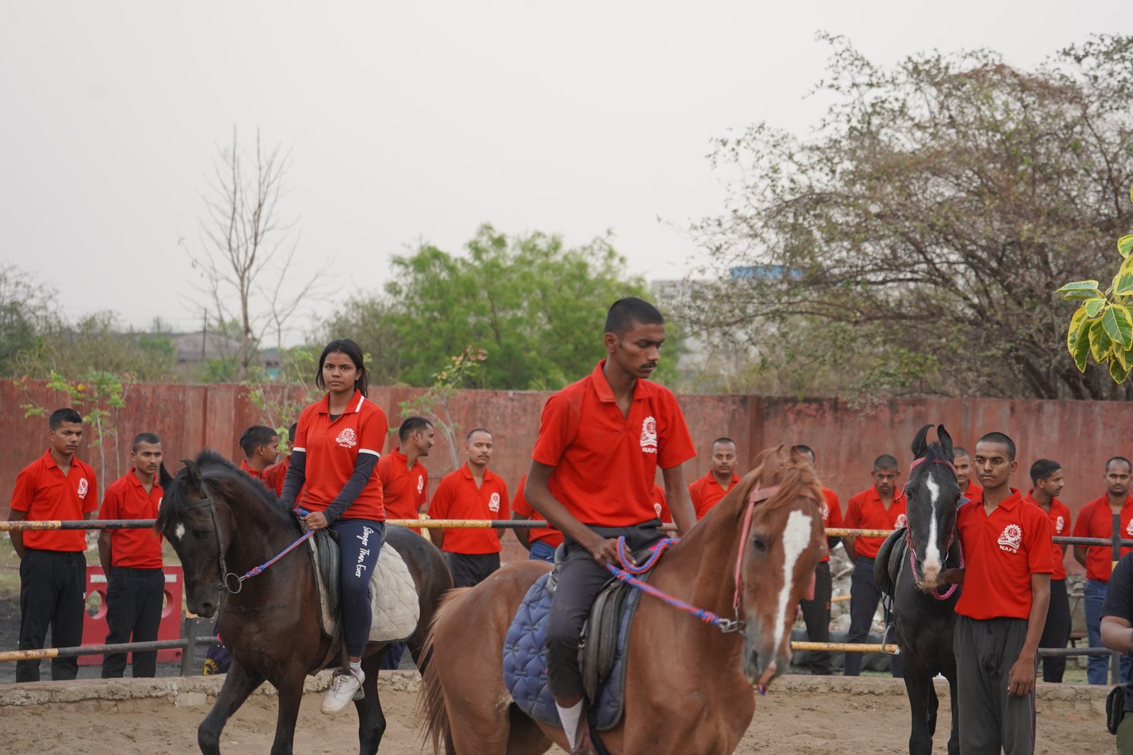 HORSE RIDING